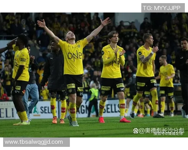 挪威足球队三大球星实力分析与未来发展前景解析